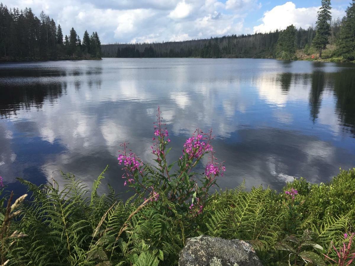 Apartament Harznest Braunlage Zewnętrze zdjęcie